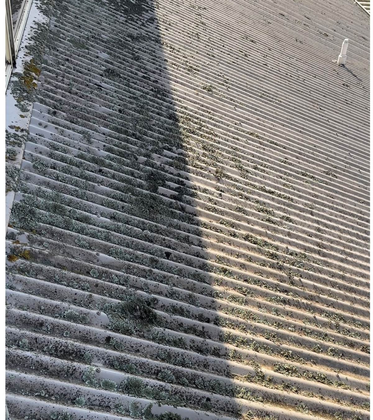 A roof covered in lichen before the clean