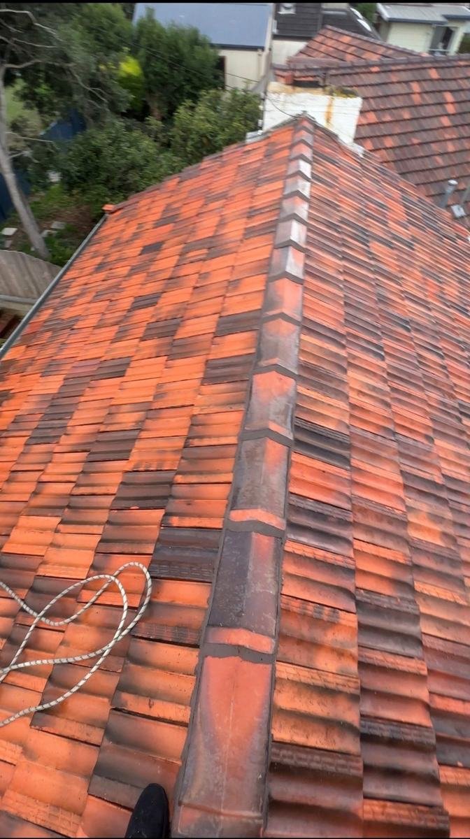 A tiled roof after our clean