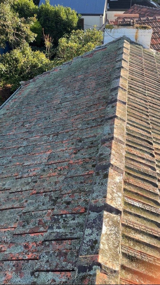 Before: the same roof