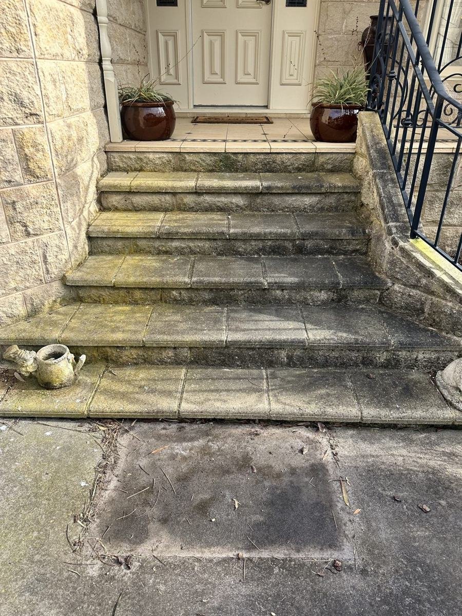 Front steps covered in moss, before the clean