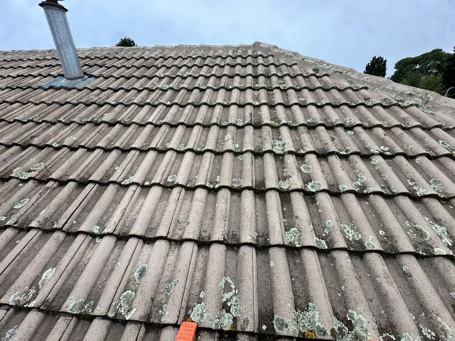 Photo from Glasdon F.'s review